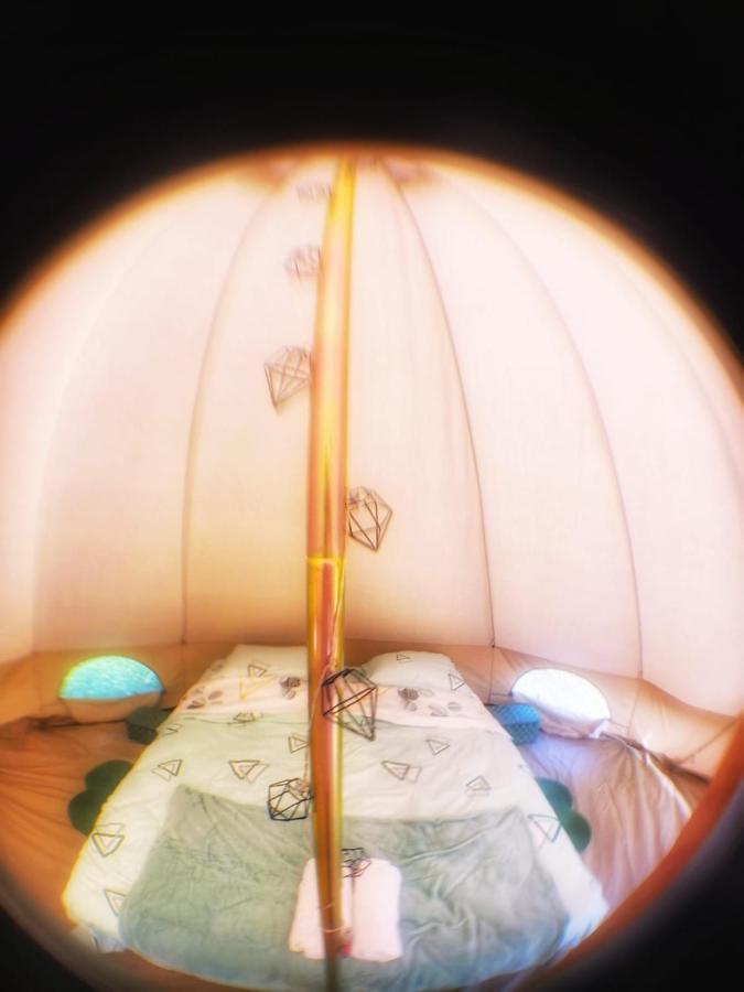 Luna Rock Glamping Brezoi - Blue Scai Екстер'єр фото